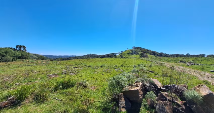 Chácara 3,5 hectares