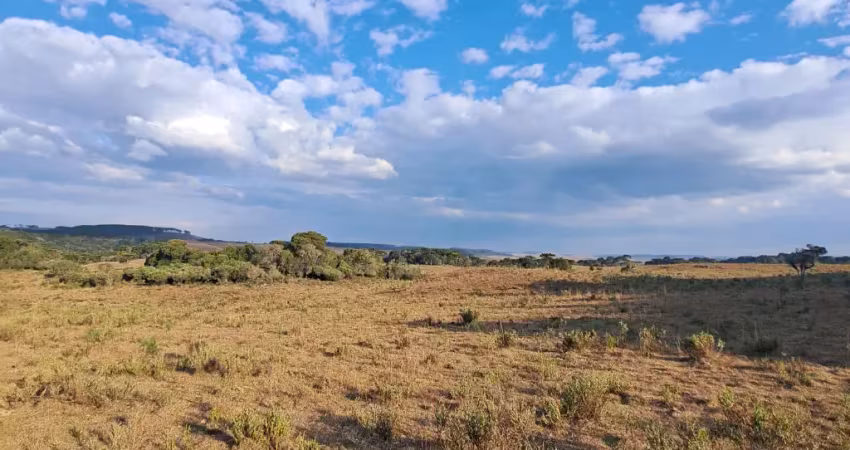 Chácara / sítio à venda na Rua São José, Zona Rural, Cambará do Sul