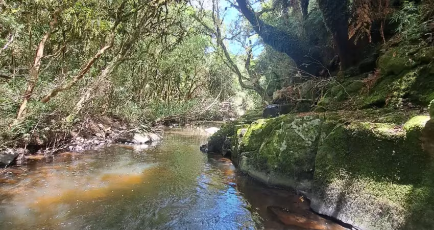 Chácara / sítio à venda na Rua São José, Zona Rural, Cambará do Sul