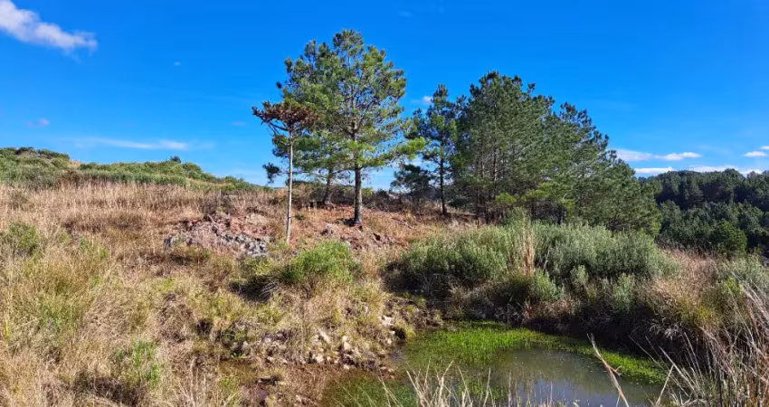 Chácara / sítio à venda na Rua São José, Zona Rural, Cambará do Sul