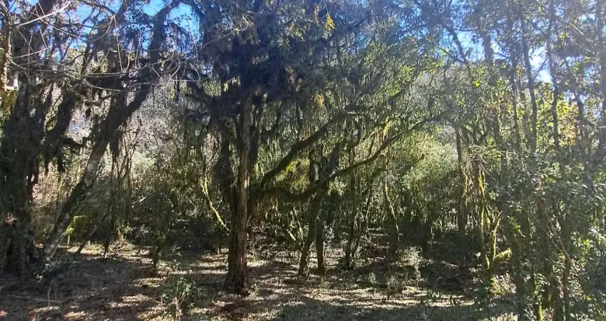Chácara / sítio à venda na Rua São José, Zona Rural, Cambará do Sul