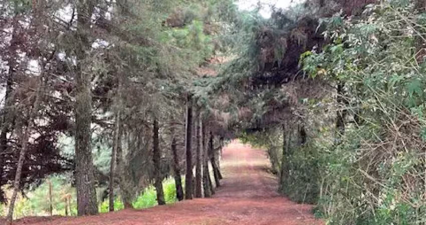 Chácara 2 hectares - 2,5 km do centro de campo magro