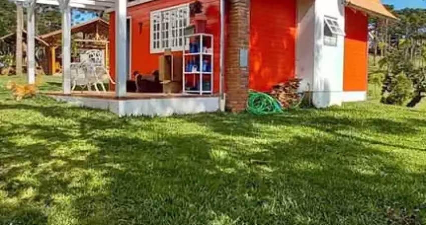 Chácara / sítio com 6 quartos à venda na Rua Principal, Avenquinha, Campo Alegre