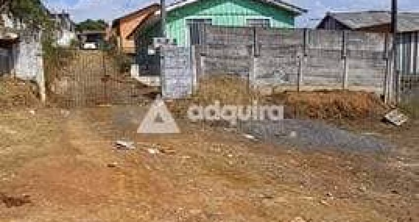 Terreno à venda Nova Rússia, Ponta Grossa - PR
