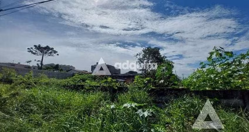 Terreno à venda 490M², Oficinas, Ponta Grossa - PR