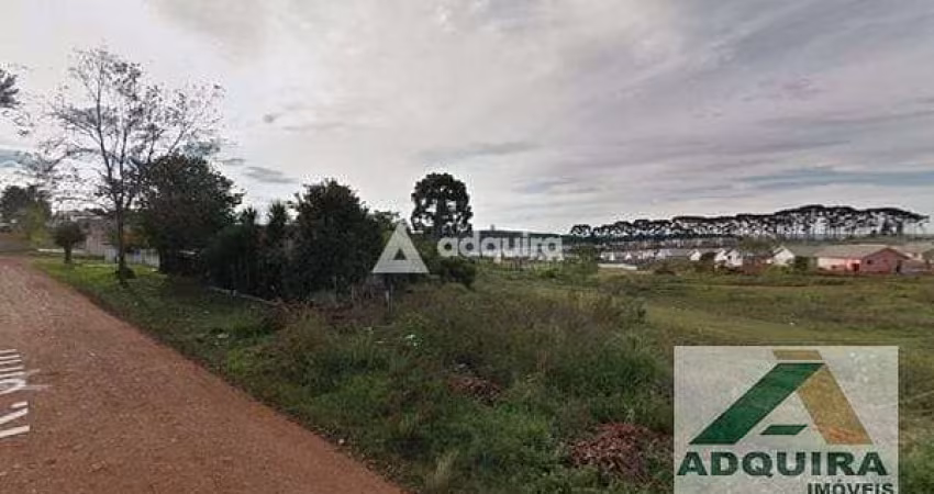 Terreno à venda 3521M², Periquitos, Ponta Grossa - PR