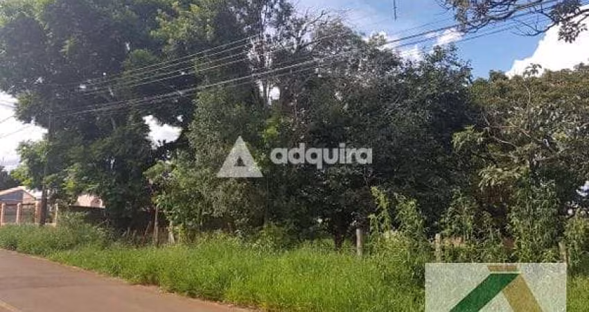 Terreno à venda 462M², Uvaranas, Ponta Grossa - PR
