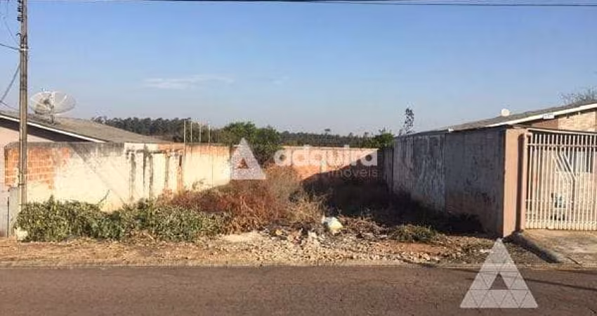 Terreno à venda 275M², Neves, Ponta Grossa - PR
