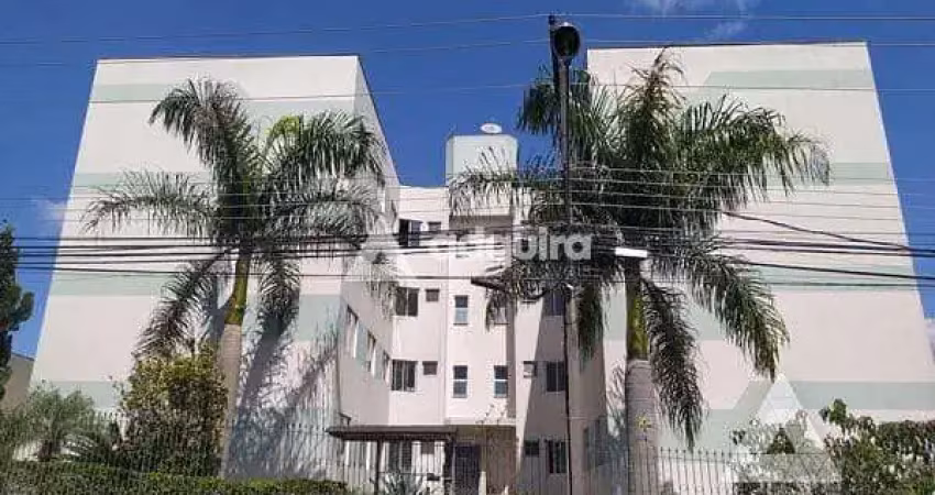 Apartamento para locação 3 quartos, 1 suite, 1 vaga, orfãs, ponta grossa - pr