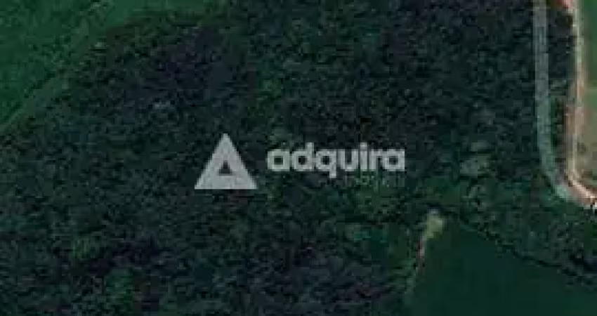 Terreno à venda 76345.22m², colônia dona luíza, ponta grossa - pr