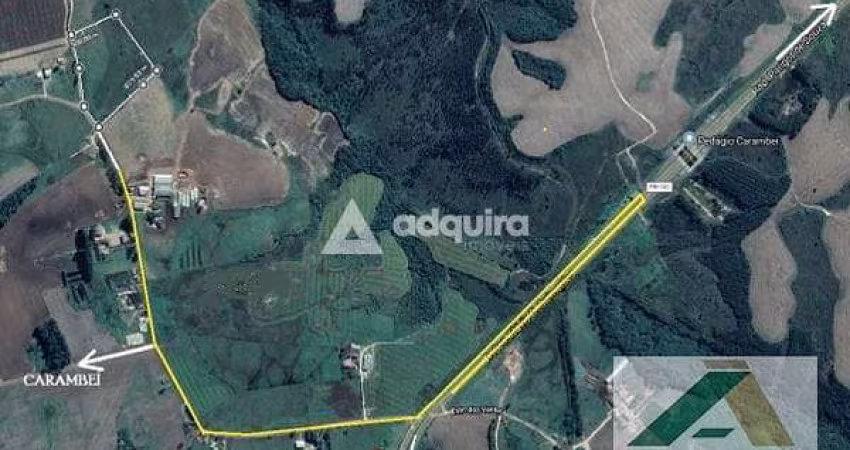 Chácara à venda 48400M², Centro, Carambeí - PR