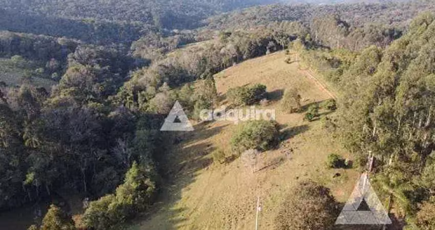 Chácara à venda 2 quartos, 48400m², zona rural, ponta grossa - pr