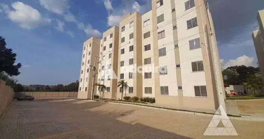 Previsão de liberação: setembro/25 - apartamento para locação 2 quartos, 1 vaga, 55.82m², uvaranas,