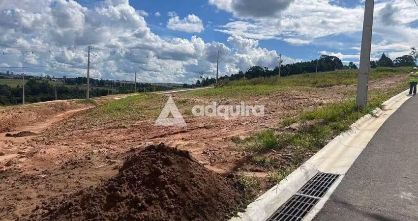 Terreno à venda, jardim carvalho, jardim alpha, ponta grossa, pr