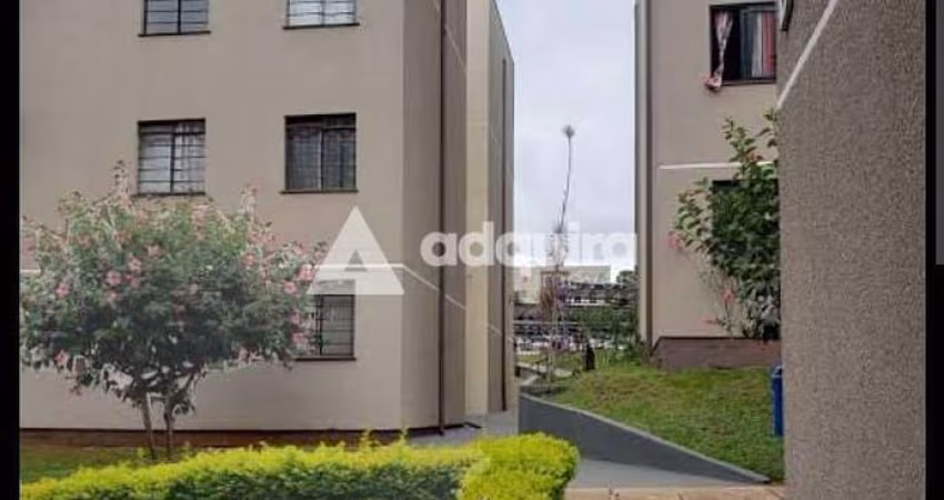 Apartamento à venda, Colônia Dona Luíza, Ponta Grossa, PR