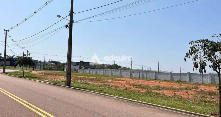Terreno comercial à venda, jardim carvalho, ponta grossa, pr