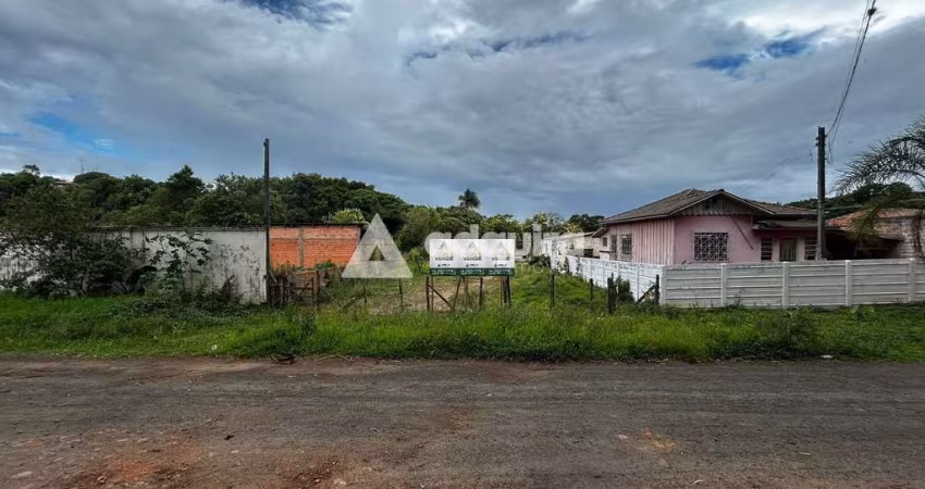 Terreno para Venda e Locação, Próximo ao Lago de Olarias 2 e Olinda Esporte Clube - Olarias, Ponta