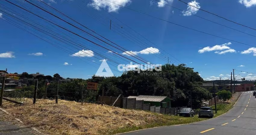 Terreno à venda, com 528m² (16m x 33m), Jardim Carvalho. Ponta Grossa, PR