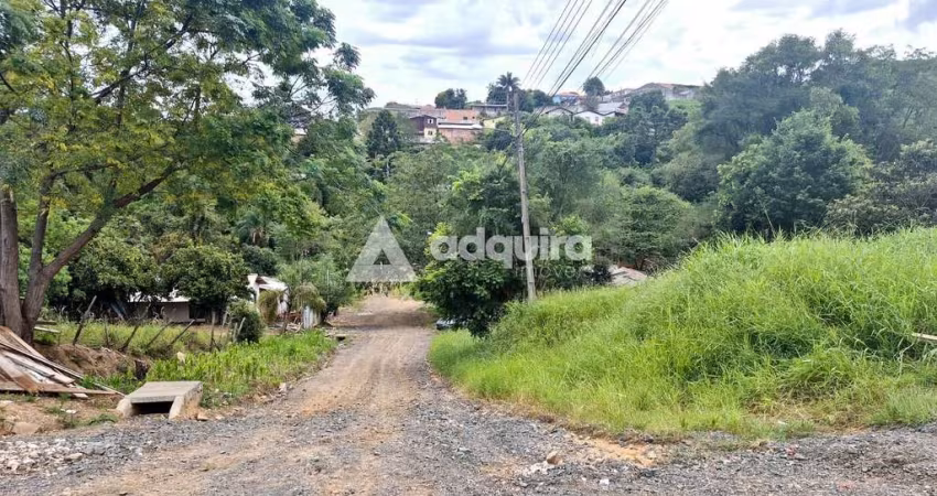 Terreno de esquina à venda próximo à Rua Londrina, Nova Rússia, Ponta Grossa, PR