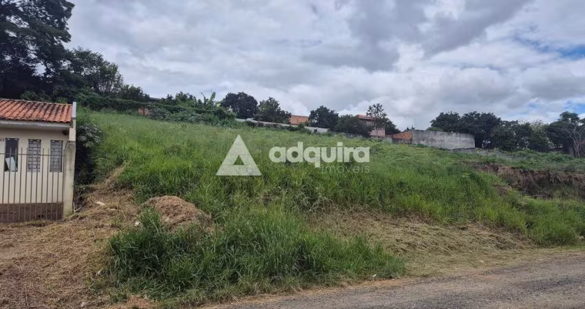 Terreno à venda próximo à Rua Londrina, Nova Rússia, Ponta Grossa, PR