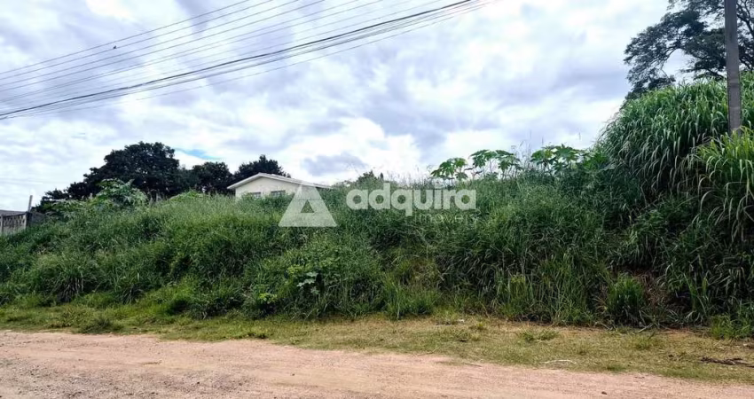 Terreno próximo à Rua Londrina à venda, Nova Rússia, Ponta Grossa, PR