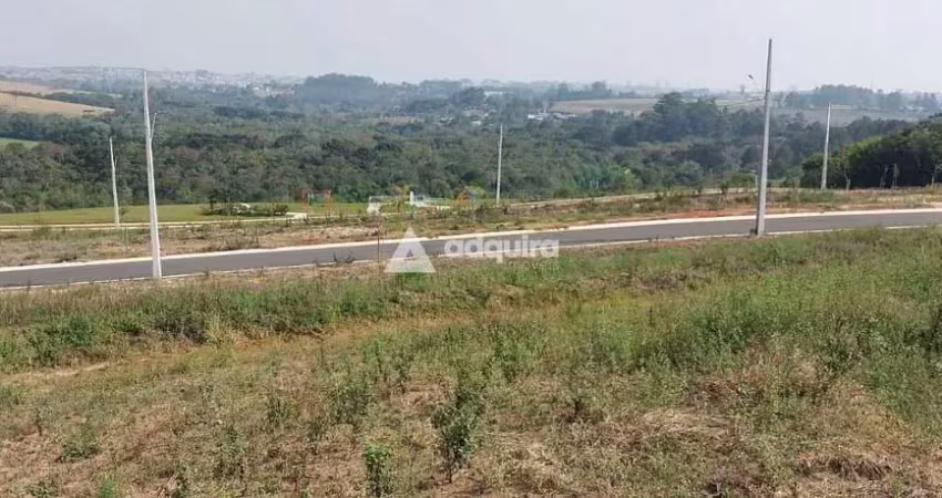 Terreno à venda, jardim alpha, jardim carvalho, ponta grossa, pr