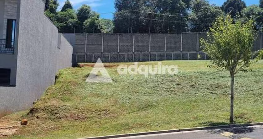 Terreno à venda, Colônia Dona Luíza, Ponta Grossa, PR
