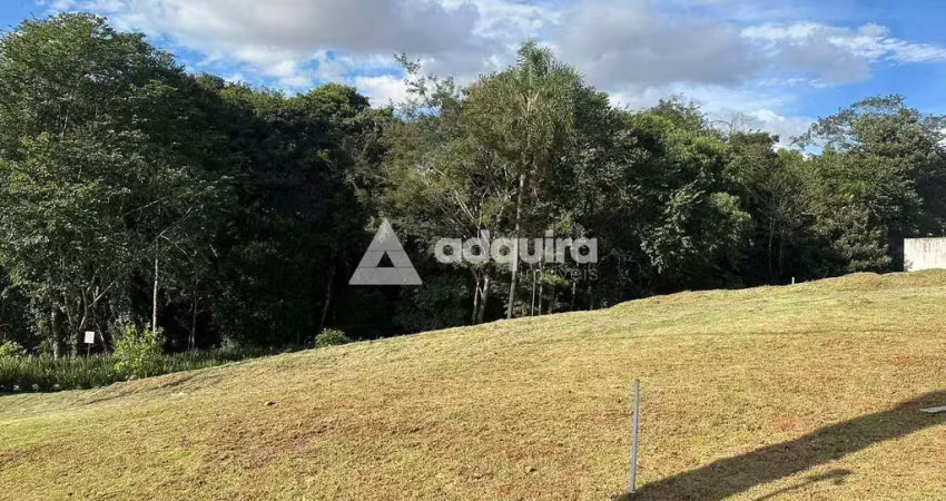 Terreno à venda 315m², colônia dona luíza, ponta grossa - pr