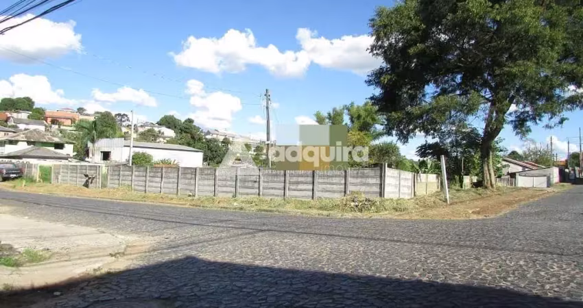 Terreno à venda na Rua Fernandes Vieira, Nova Rússia, Ponta Grossa