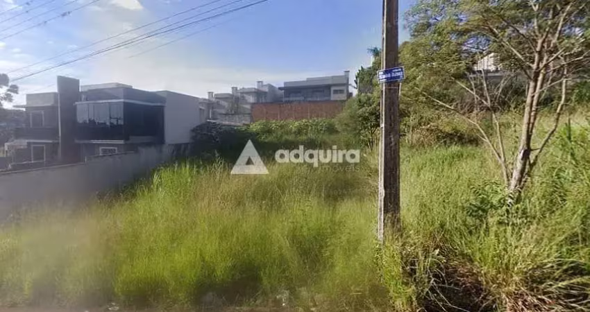 Terreno à venda jardim alphaville, estrela, ponta grossa, pr