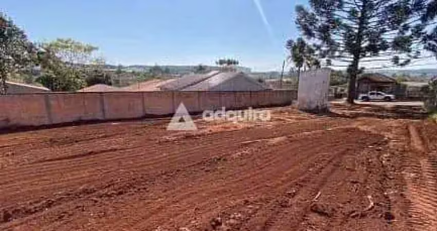 Terreno à venda na Rua Carneiro Ribeiro, Uvaranas, Ponta Grossa
