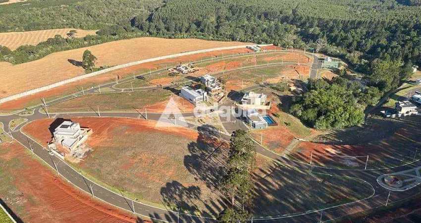 Terreno em condomínio fechado à venda na Rodovia PR-160, Parque Limeira Área 7, Telêmaco Borba