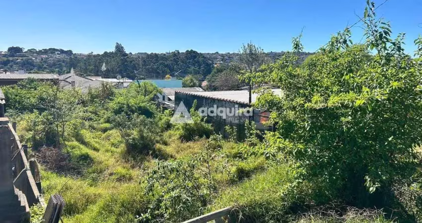 Terreno à venda na Rua Egídio Doná, Orfãs, Ponta Grossa
