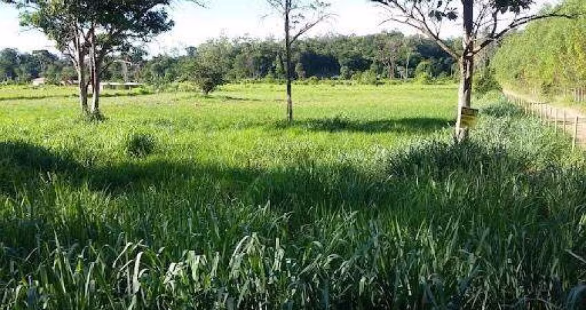 Terreno à venda na Zona Rural, Pingo-D'Água 