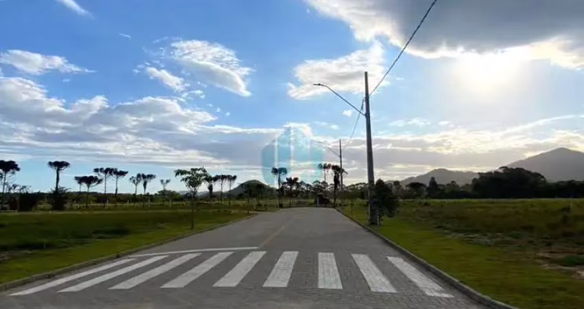 Lotes no loteamento quinta das palmeiras, campo duna | garopaba - sc