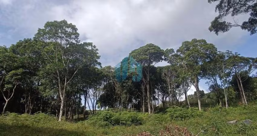 Amplo Terreno de 2,8 Hectares, com Vista p/ Lagoa e Mar, Macacu | Garopaba - SC