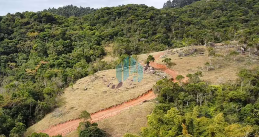 Cinco chácaras a 1,8 km da br - 101, ótimo acesso, penha | paulo lopes - sc