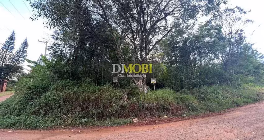 Terreno à venda, 600 m² por r$ 79.000,00 - condomínio campestre guadalajara (barro vermelho) - grav