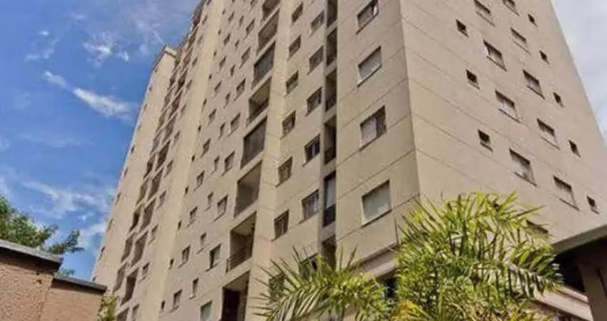 Apartamento com 2 quartos para alugar em Imirim, São Paulo 