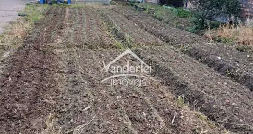 Terreno à venda no Guarda do Cubatão, Palhoça 