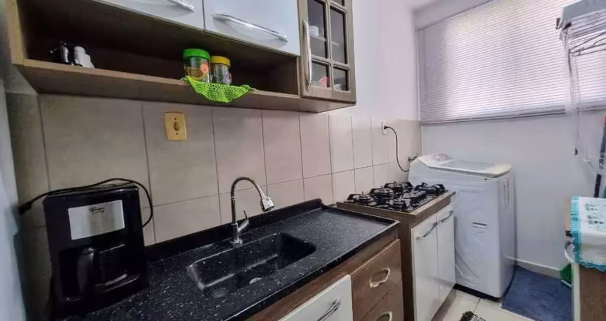 Apartamento com 1 quarto à venda no Ilha da Figueira, Jaraguá do Sul 