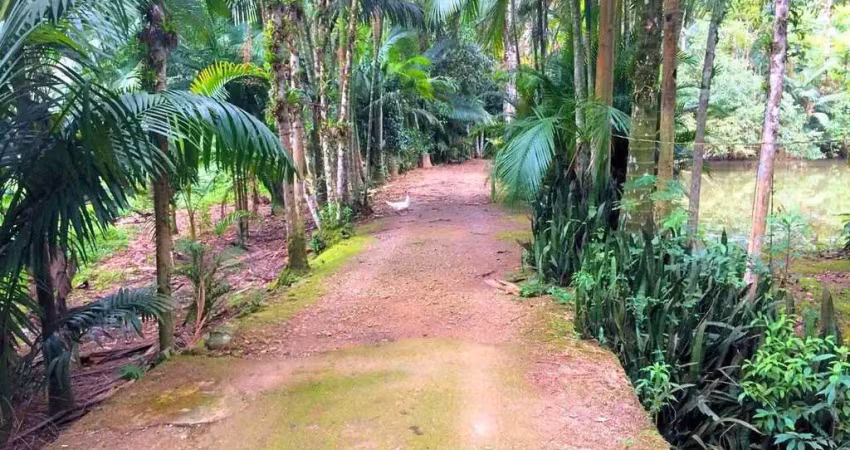 Chácara / sítio à venda em Amizade, Guaramirim 