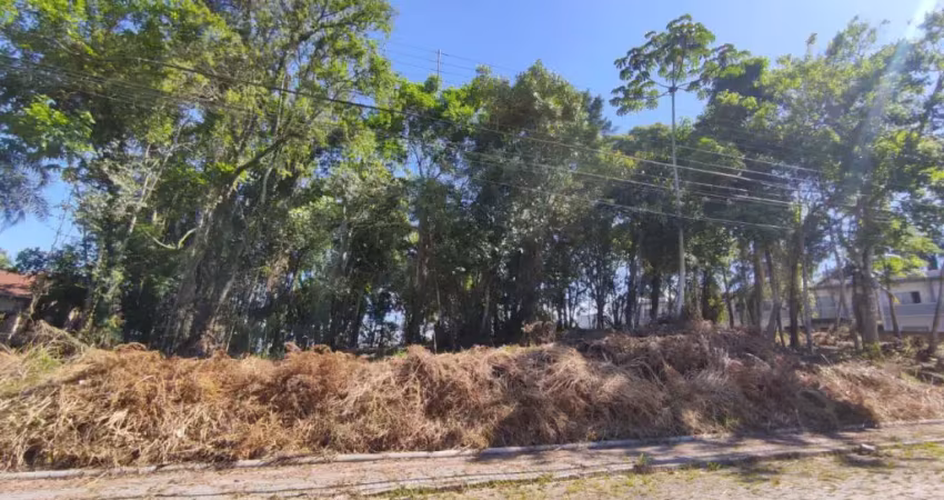Vendo lote em região residencial, alto padrão - blumenau