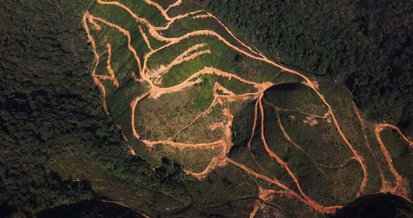 Terreno á venda em gaspar- oportunidade de negócio para investidores