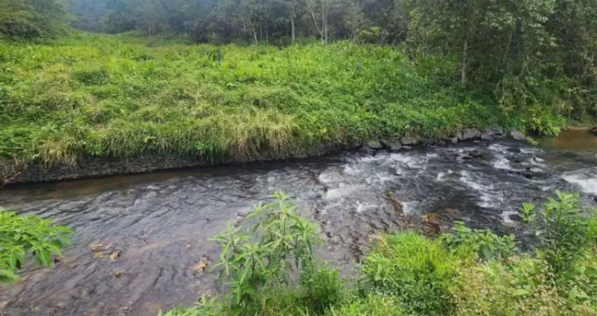 Vendo terreno rural com nascente e rio!! - luiz alves/sc - 117.000 m²