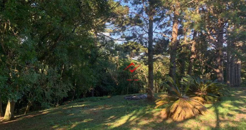 Chácara / sítio à venda no Fazendinha, Campo Largo 