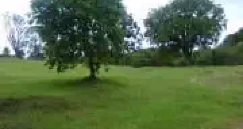 Oportunidade!!! Área Próximo Alphaville Campo Largo 20%Entrada Restante 100XCorrigidos Só CUB SC