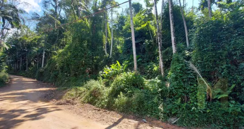 Terreno à venda no Passo Manso, Blumenau 