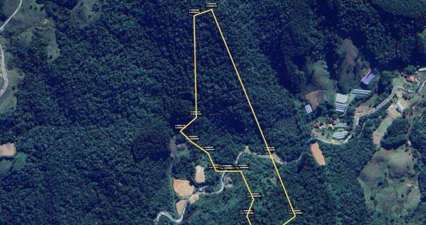 Sítio à venda, 100036 m² por r$ 1.000.000,00 - centro - rancho queimado/sc