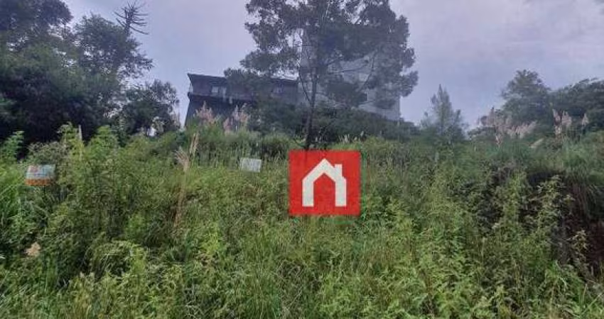 Terreno à venda, 516 m² por R$ 250.000,00 - Bela Vista - Caxias do Sul/RS
